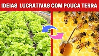 6 Ideias para produzir em pequenas propriedades rurais