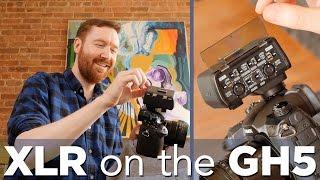 Plug XLR mics into the Panasonic GH5