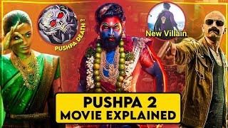 Pushpa 2 Movie Explained In HINDI | Pushpa 2 The Rule Story In HINDI | Pushpa 2 Movie Recap