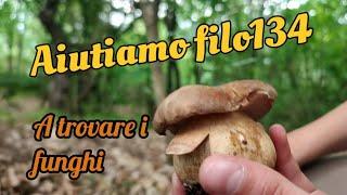 21 maggio : aiutiamo filo134 a trovare i funghi