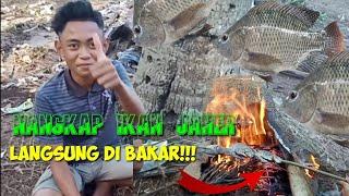 Ngakak! Nangkap Ikan Nila Paling Konyol!! Langsung Di Bakar