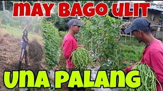 Panibagong Anihan|Buhay Magbubukid