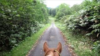 Hokkaido Japan, Horse Riding, WWOOF Japan