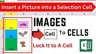 How To Insert Images In Excel Cell Picture insert and Automatic Resize