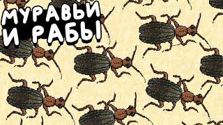 МУРАВЬИ НАБИРАЮТ РАБОВ ▶ Pocket Ants: Симулятор Колонии Прохождение | Обзор