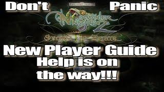 Neverwinter Nights 2 Don't Panic New Player Guide