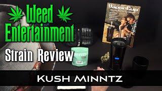 Kush Minntz - Hybrid - by Seed Junky - Strain Review - from Dr Greenthumbs, Sylmar, Ca