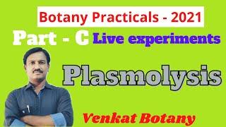 Botany Practicals | Part C | Live Experiments | Plasmolysis