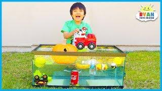 Sink or Float for Kids Science Experiments you can do at home with Ryan ToysReview!