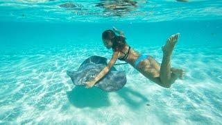 KALOEA Surfer Girls - Moorea, Stringrays & Sharks