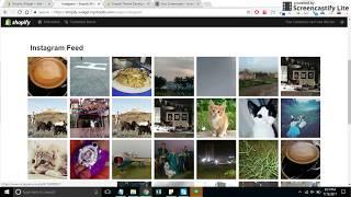 Shopify Instagram Feed Widget DEMO