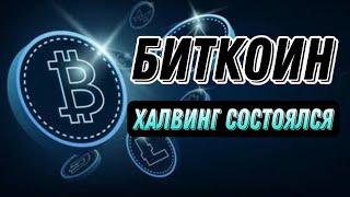 БИТКОИН ХАЛВИНГ СОСТОЯЛСЯ | КРИПТОВАЛЮТА BITCOIN BTC