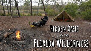 Solo Camping in Florida Wilderness | Hidden Oasis | Wildlife!