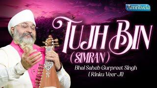 TUJH BIN ( SIMRAN )- BHAI GURPREET SINGH RINKU VEERJI - AMRITVELA TRUST - 14th JUNE 2024