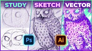 Snowy Owl Illustration Process - Sketching on Photoshop & Coloring on Adobe Illustrator - Speed Art