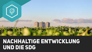 Nachhaltige Entwicklung und die Entwicklungsziele der Weltgemeinschaft