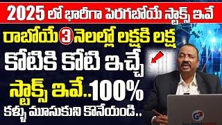 2025 లో భారీగా పెరగబోయే స్టాక్స్ 3 నెలల్లో లక్షకి లక్ష | Guru Prasad | Stock Market For Beginners