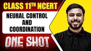 NEURAL CONTROL AND COORDINATION in 1 Shot | FULL Chapter Coverage (Concepts+PYQs) Class-11th ZOOLOGY