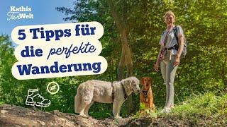 Wandern mit Hund  - Das musst bei deinem Ausflug unbedingt beachten!