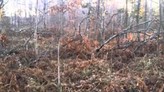 Opening Day Deer Hunting 2015