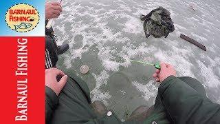 ЗАКРЫЛ СЕЗОН!! ЗИМНЯЯ РЫБАЛКА (Barnaul fishing)