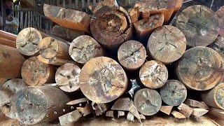 Sad News || Waste Wood Changes Everything || sawmill