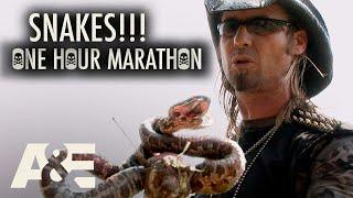 Billy the Exterminator: SNAKES!!! One-Hour Compilation | A&E
