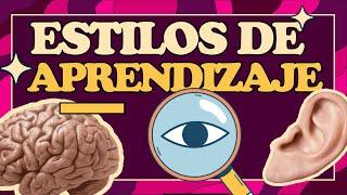 Estilos de aprendizaje | ¿Cómo estudiar mejor?