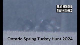 Ontario Spring Turkey Hunt 2024