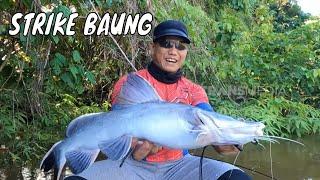 Berburu Ikan Predator Sungai Nyabau Dengan Teknik Dasaran | MANCING MANIA STRIKE BACK (20/10/24) P1