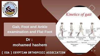 Gait , Foot and Ankle examination and Flat Foot ( Mr. Mohamed Hashem)