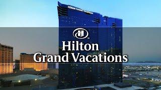 Hilton Grand Vacations Club Elara Las Vegas | An In Depth Look Inside