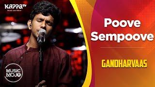 Poove Sempoove - Gandharvaas - Music Mojo Season 6 - Kappa TV