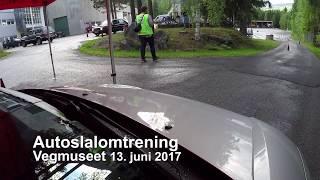 Autoslalom Vegmuseet 2017