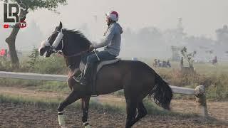 Lahore Race Club Morning Workout 26-03-2021 | LRC TV