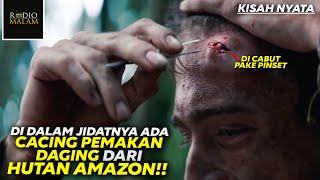 TERJEBAK DI HUTAN AMAZON BERMINGGU-MINGGU - Alur Film Jungle (2017)