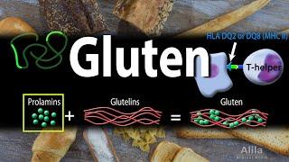 Gluten and Gluten-Related Disorders, Animation