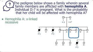 Probability calculation from a pedigree - Sample 1