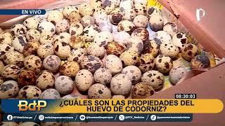 ¿Cómo lo hace? ambulante gana  más  de 7 mil soles mensuales vendiendo huevitos de codorniz