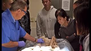 Introduction to the Cadaver Lab