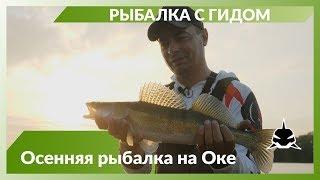 Рыбалка с гидом на Оке в районе Коломны.