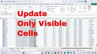 How to Highlight and Update Only Visible Cells in Microsoft Excel! Helpful When Filtering! #howto