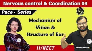 Nervous Control & Coordination 04| Mechanism of Vision & Structure of Ear | 11 | NEET | Pace