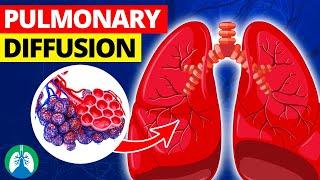 Pulmonary Diffusion (Medical Definition) | Quick Explainer Video