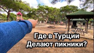 Особенности культуры в Турции. Где можно делать пикники в Турции ?