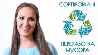 Раздельный сбор мусора. Как правильно сортировать отходы?