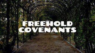 Introduction to Freehold Covenants (Part 1) | Land Law