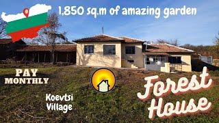 Forest House - PAY MONTHLY - Bulgaria - Veliko Tarnovo | MOWLEM BULGARIA