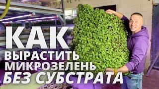 Микрозелень без субстрата без земли выращивание на ткани и льняных ковриках гидропоника аэропоника