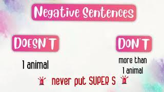 Negative Sentences in Simple Present